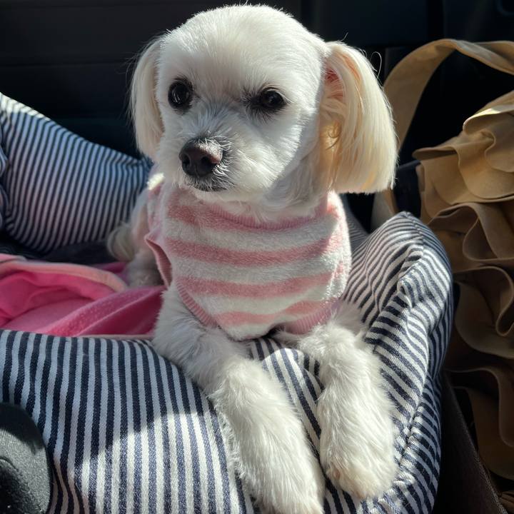 61e59a55 d856 4cd7 bcc7 519da2aeae5f 1670300050916