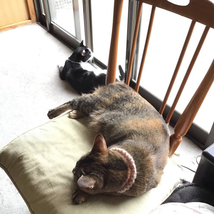 61e5a26f 6eb0 4fec b65b abd7f417a88c 1655873654615