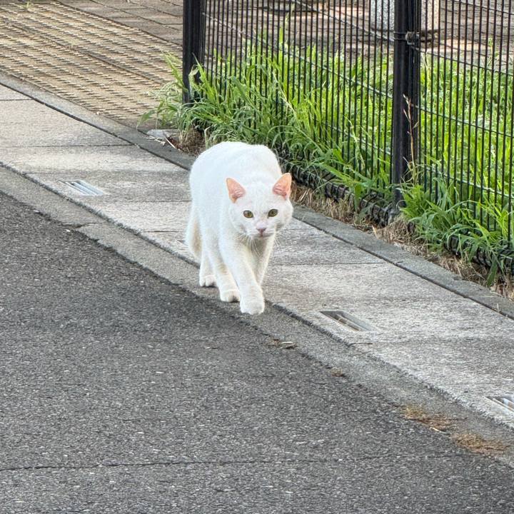 61e60e67 1f7f 47c7 9317 67f410068b75 1755216026080