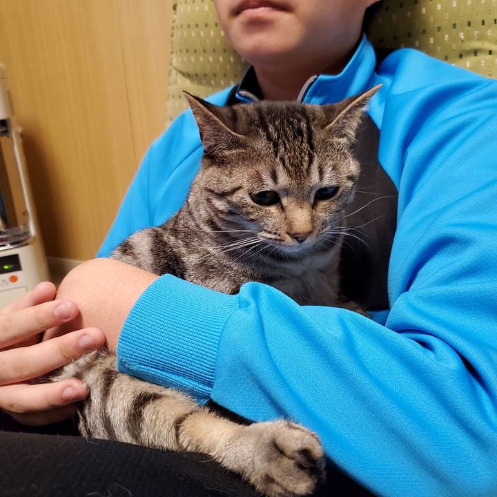 61e61606 7bb8 4d89 9668 d2284fc05cbf 1707604116644