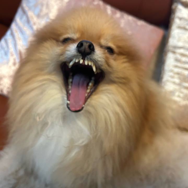 61e61adc efb7 4626 a41b 1ffee550a1f9 1767740183115