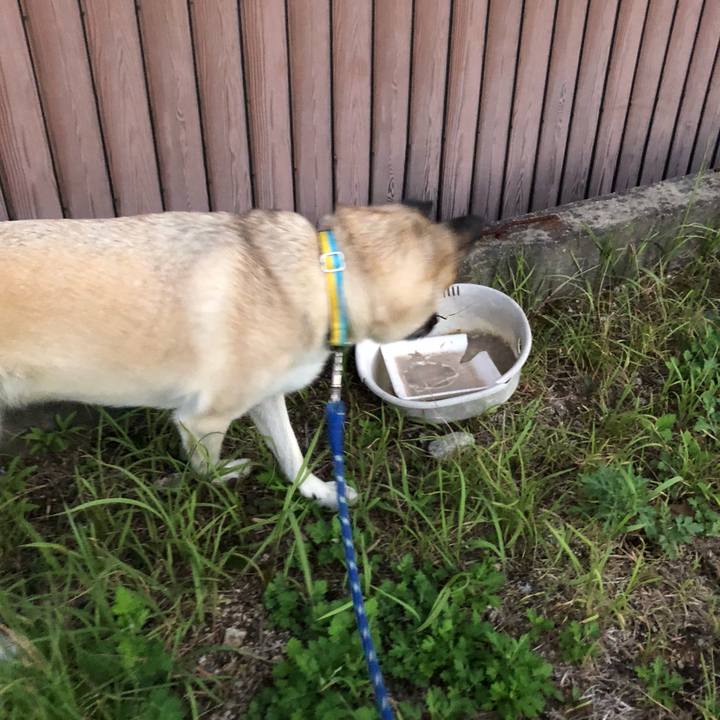 61e62970 2905 495f 8da6 c6ae4fcef59f 1599478394869