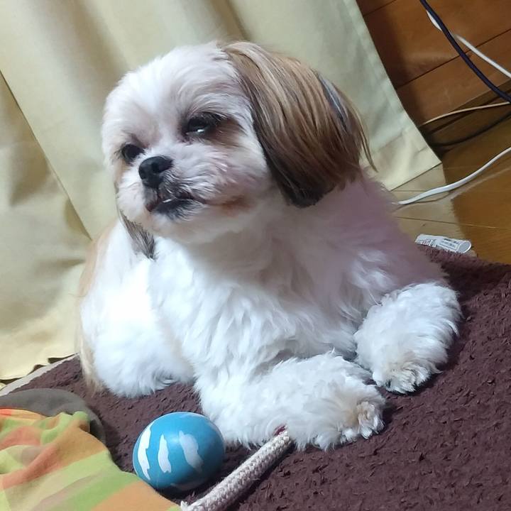 61e62e32 be93 45ab b82c 463021aa284d 1607683182272