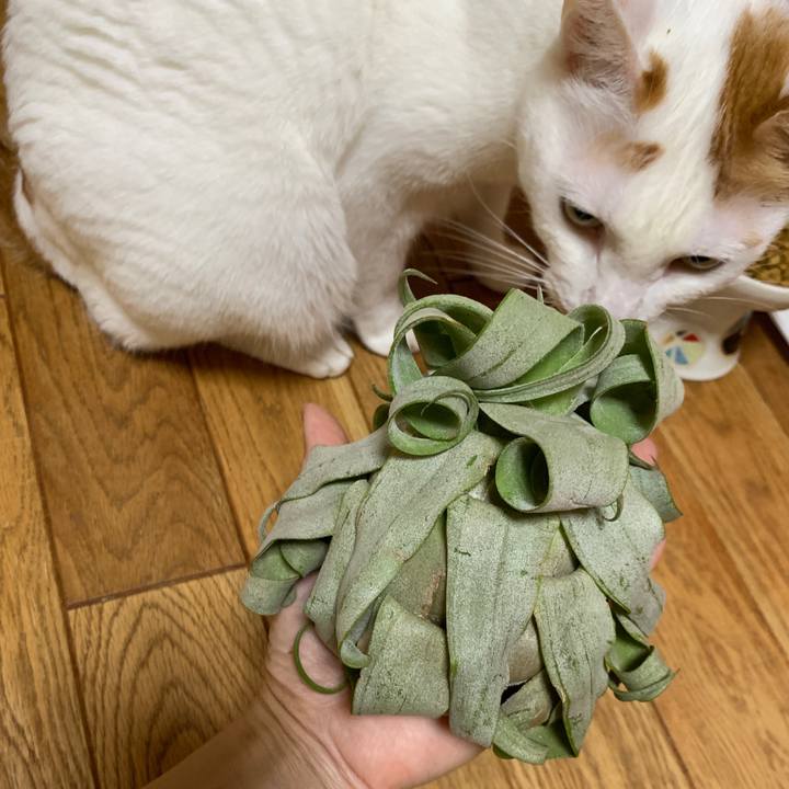 61e68599 37c2 437e a5d6 7db7f260ed38 1655634662839