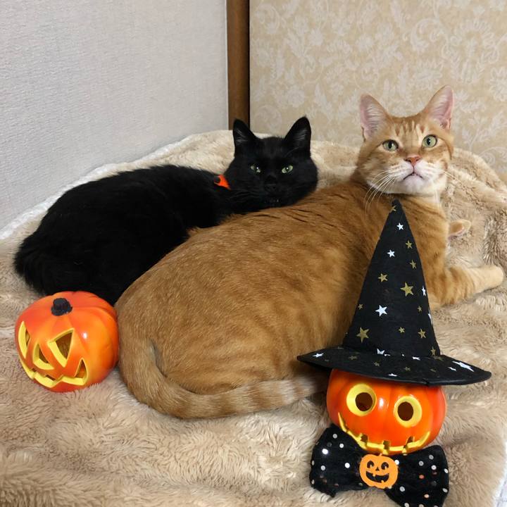 61e6a846 e7df 42b8 97c6 f736ab7c42fe 1635074424016