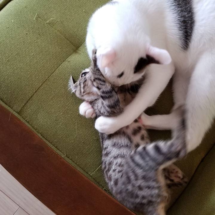 61e6dfb8 b715 4dd4 9dc8 708701a74ab2 1537534844032