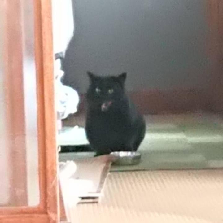 61e70c9f 2ba9 4436 859d 4d2b1cb9702e 1613887387199