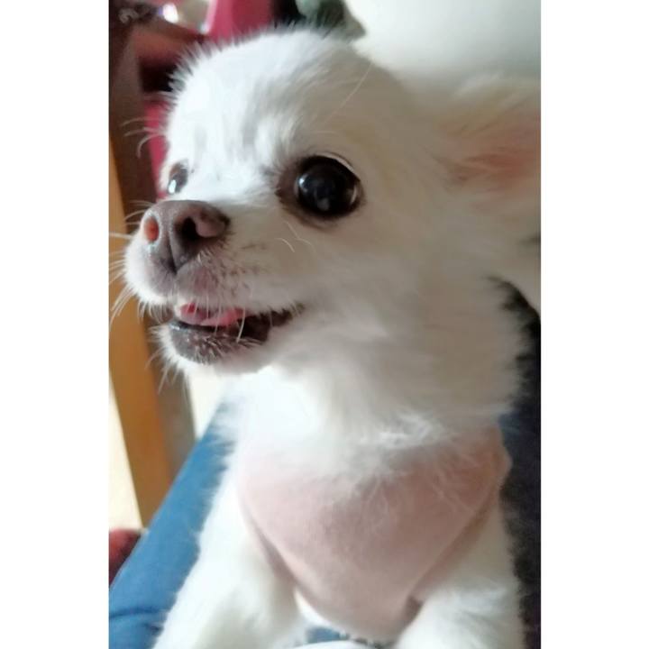 61e75fc5 2de7 4778 ae38 9651a6331f8d 1627957919015