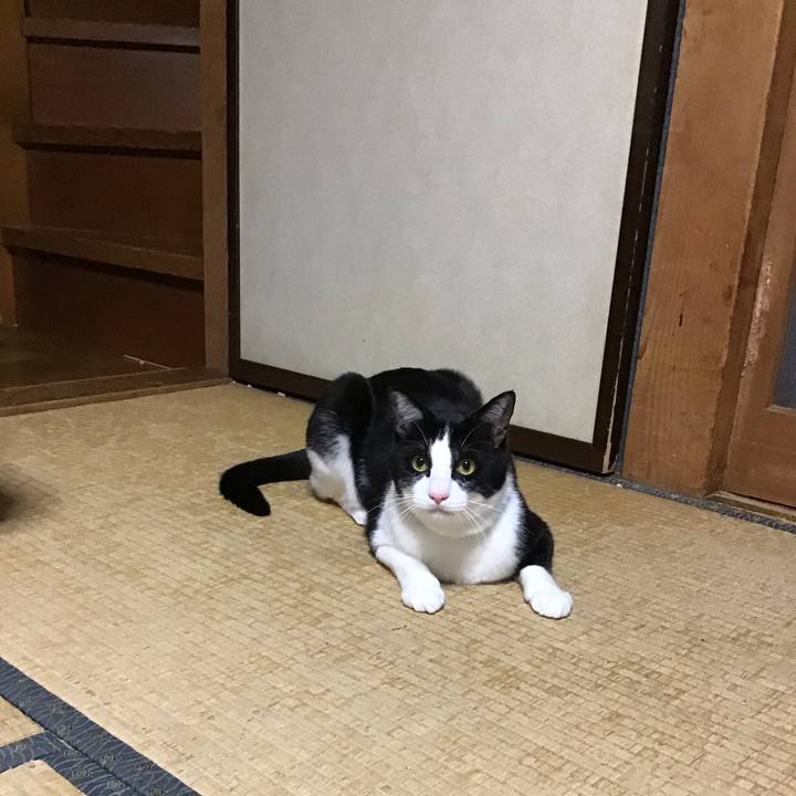 61e7672f 76f4 4cd7 ad98 bda3fa9f5ed8 1683377342340