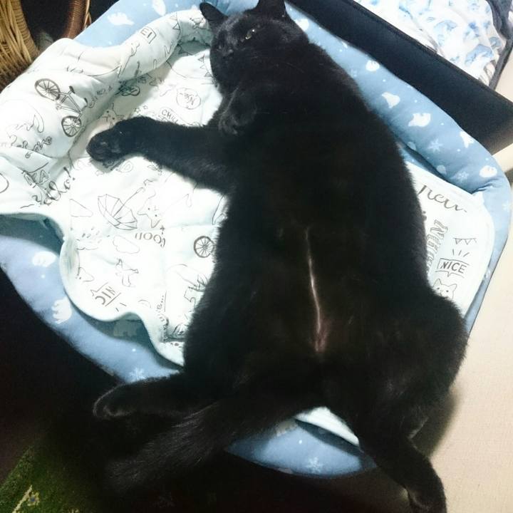 61e781b6 3d73 4cd9 9ef5 08bf2b515e97 1533554482533