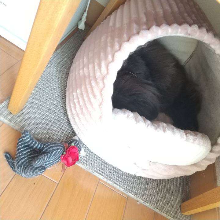 61e78d71 38b6 41c8 b8d6 17c31c0476f5 1698547153570