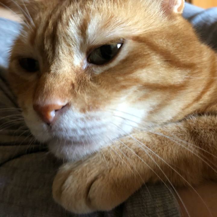 61e78e6b 7194 45d6 9ce0 a04051db5fa4 1630111479407