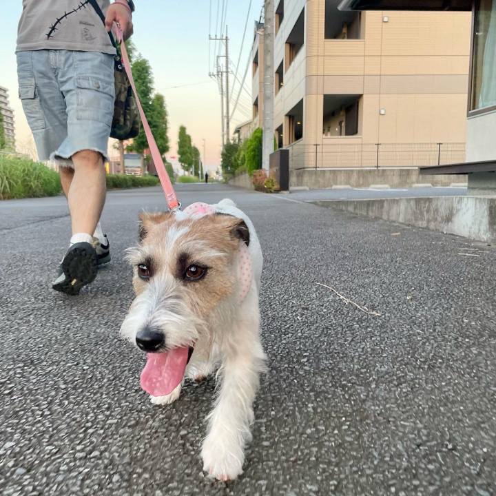 61e7a02b ef78 44a1 9223 7dd2279ef88b 1660823208451