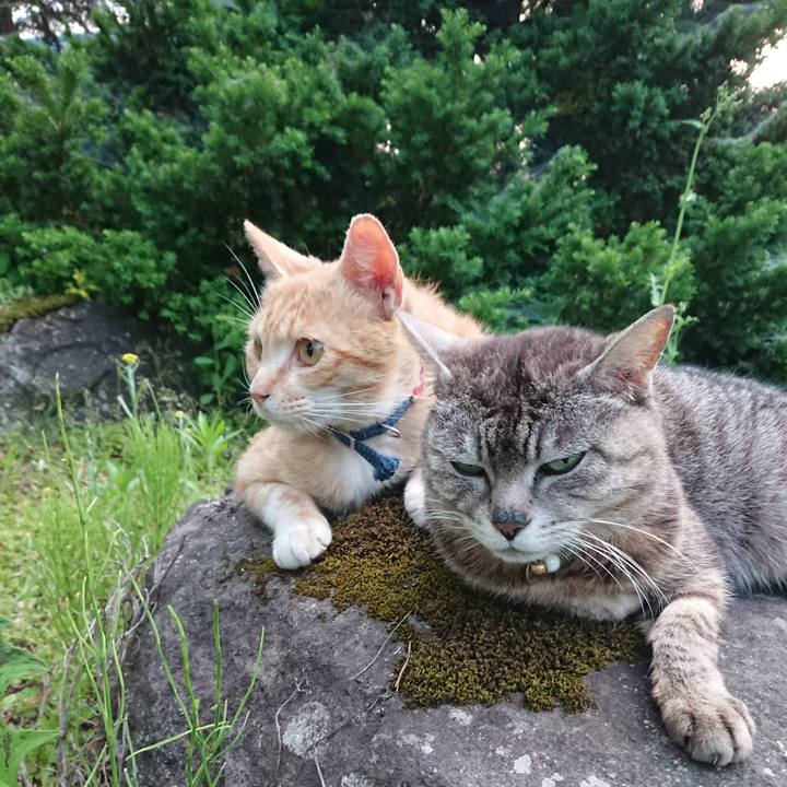 61e809c0 7227 4808 9510 4204fa2923e0 1559642113994