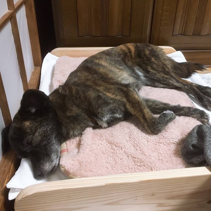 61e80c1d f17a 4131 be04 a1a4e7827921 1549120396868