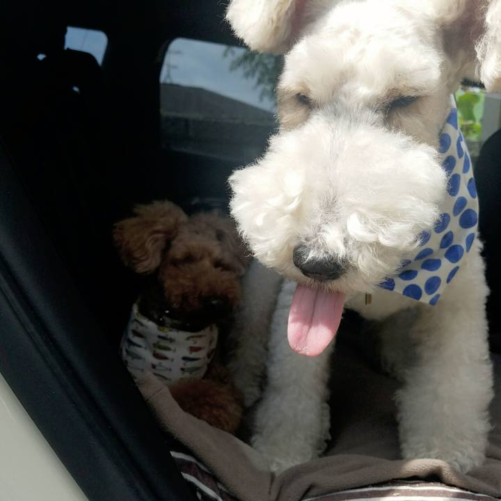 61e83a5b 5fe4 4071 9893 672117764ac6 1529565935759