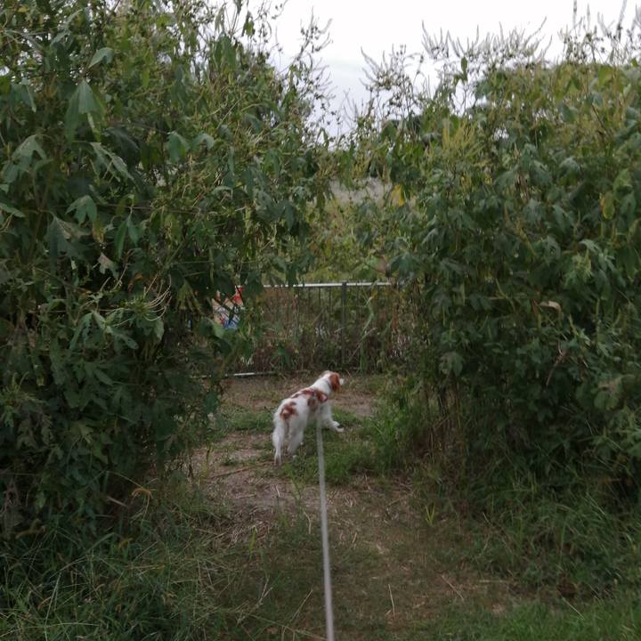 61e86da2 9b5c 4bfe 96ab 6fe3e78823f2 1570017146516