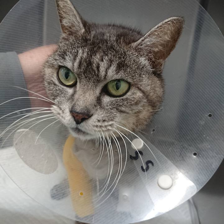 61e8aec1 6fd1 465a b04b a3a542ad140b 1586334531045