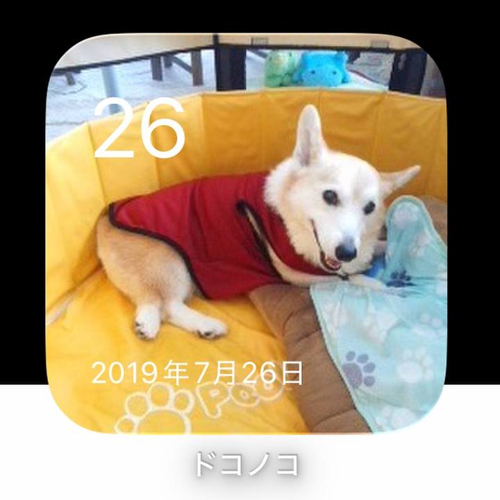 61e8d4e6 4082 4e5b b393 f7d51032f8d8 1785071299560