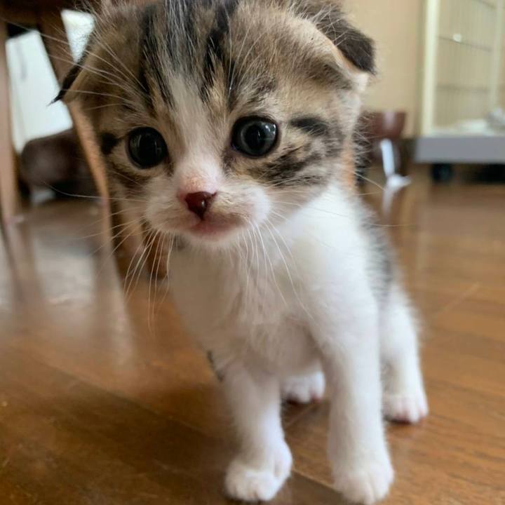 61e8dca0 5dc8 499b 9c26 4ca194d5bf92 1619320825192