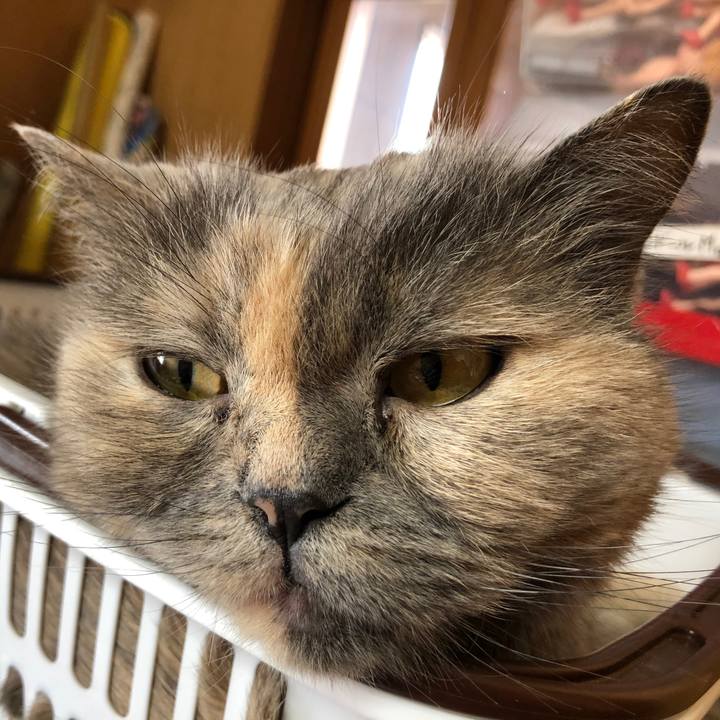 61e8e8cc ffd1 44f0 8c23 03160e75290e 1774979646707