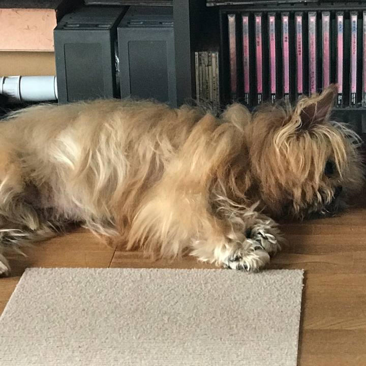 61e8ec70 3d6d 4e65 8ae2 7b10738d56db 1588663692458