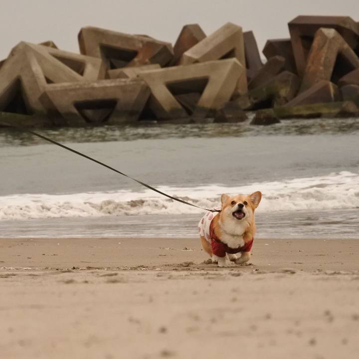 61e8f353 4b55 41a4 a391 c0848fdeb5a1 1582603100469