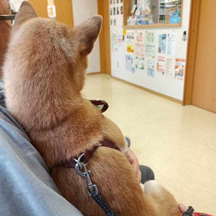 61e8f538 a501 49a4 8f78 d9dc41e63f30 1747449783545