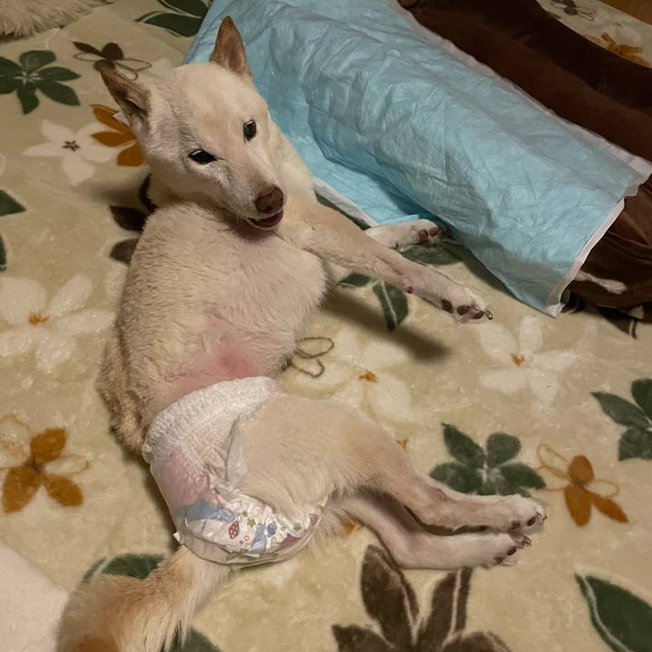 61e90005 a9e0 4b87 8fc2 58d8bc27021f 1668719149338