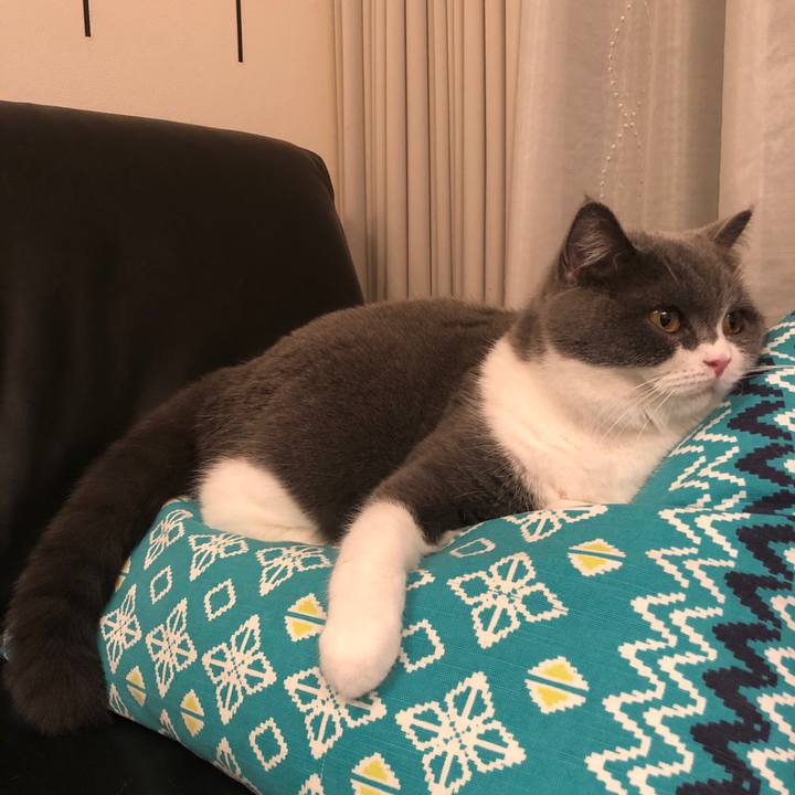 61e91e14 e1eb 4de4 8f29 996d78ca2655 1543502356422