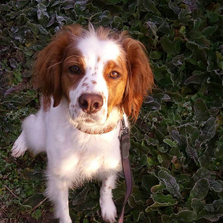 61e94a6d 1c8c 449d 9160 751faa84e357 1511309650638