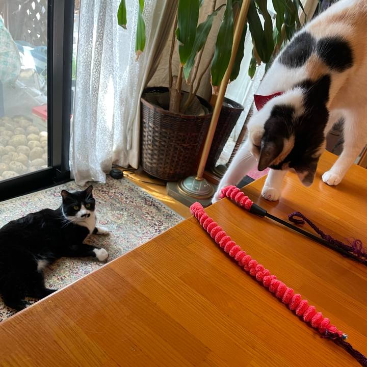 61e95a1f 6986 45e9 bff7 3dea99ad9286 1719188252739