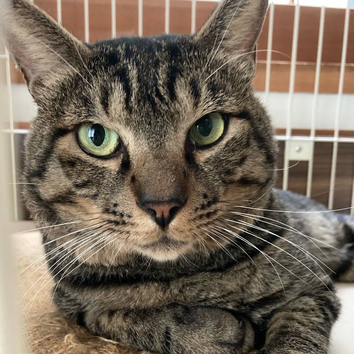 61e96829 1f1a 4ec5 adbe 4b1a16d25860 1663551996153