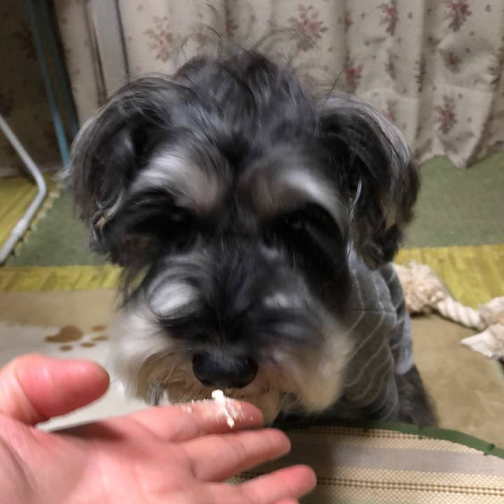 61e9904a ecc9 498c 8a3a fbcb2ff052c2 1545489001921