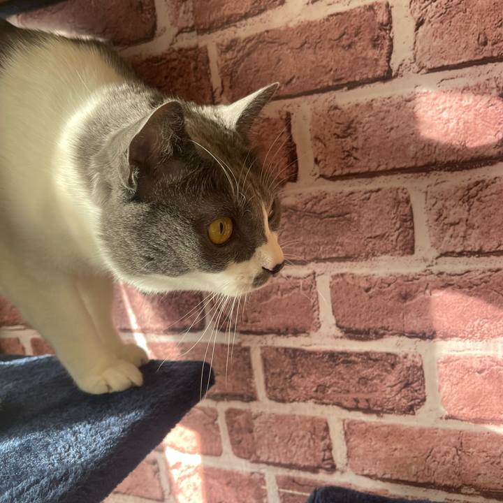 61e9c1c3 62fb 4b61 9ef2 2b20f1e79a2c 1703115340530