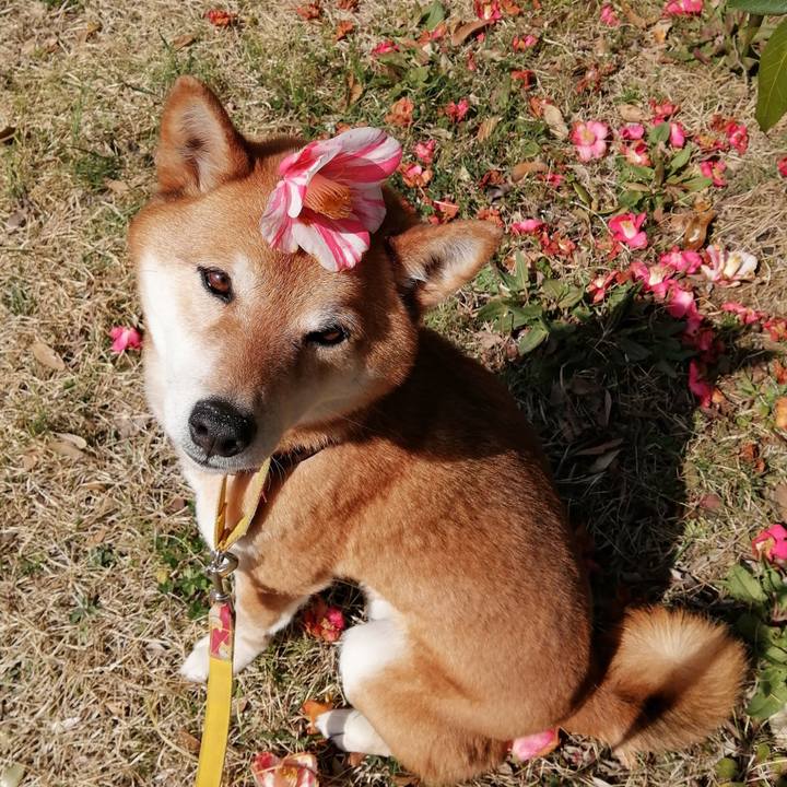 61e9f70e 125f 4f3c 80b4 302a5d50b540 1616050832813