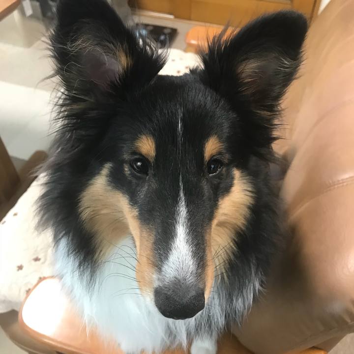 61ea4765 04b7 429a b817 aa17679c7f8a 1524437250520