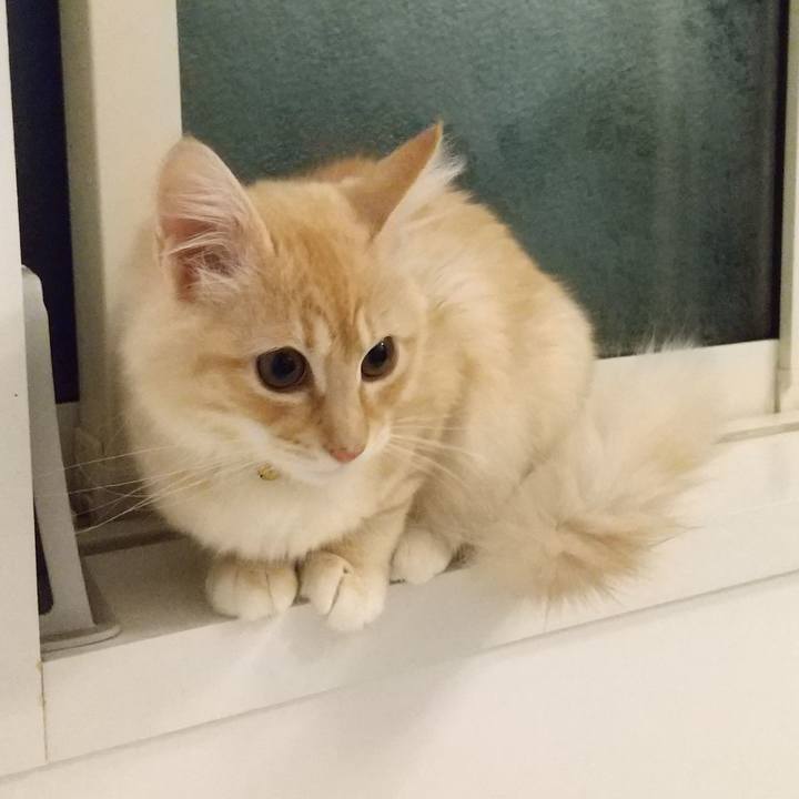 61ea5e0e 0aaa 4211 80bd dff96b3415fb 1608154937045