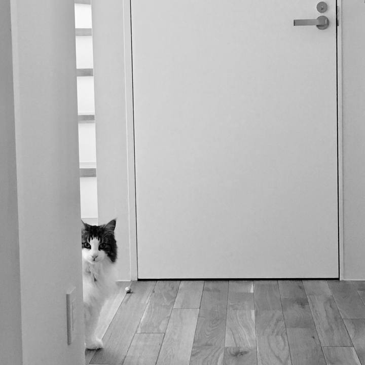 61ea5f4e 0ad6 4736 86f7 ad08f2ad67db 1527923638498