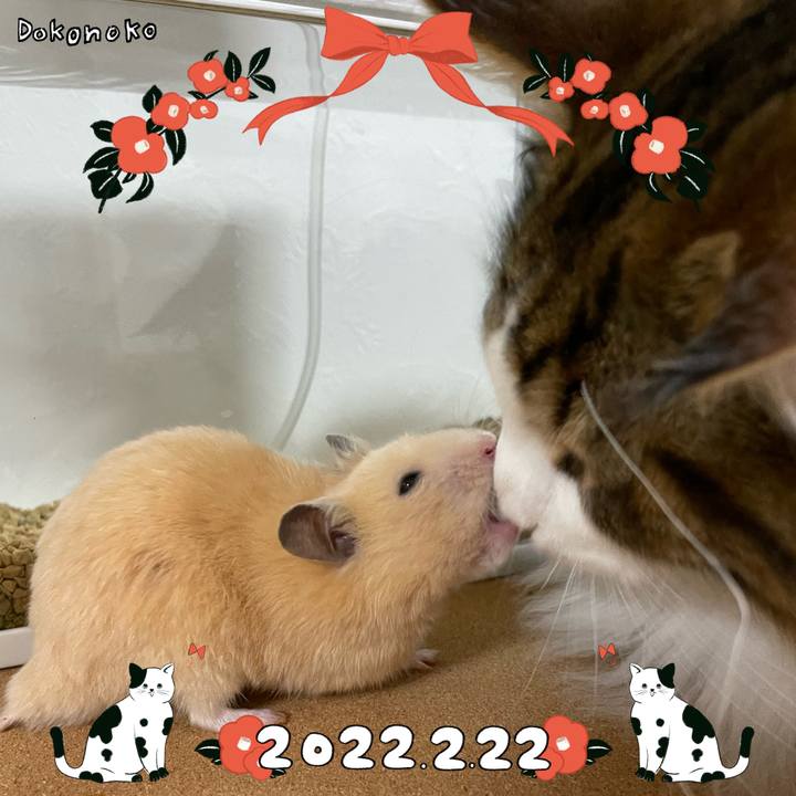 61ea8ecd d448 4e93 afdc 560fd4c4367e 1645566053124