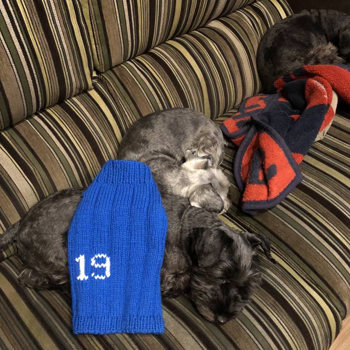 61ea918b b8e1 44ac bd3b c24b57adc8df 1514037295787