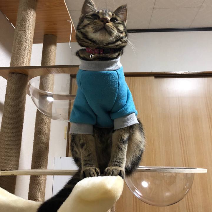 61eab3b7 c554 4495 bea5 9a22aa72b163 1741697050094