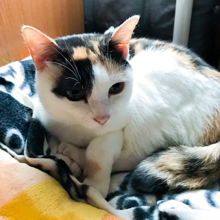 61eb1f25 9d0f 4f0b 9939 8e9b3767d1c7 1510995309357