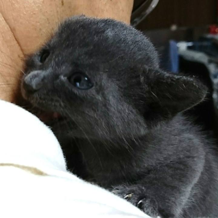 61eb2503 688e 4d10 9b16 058483b50654 1536572724426