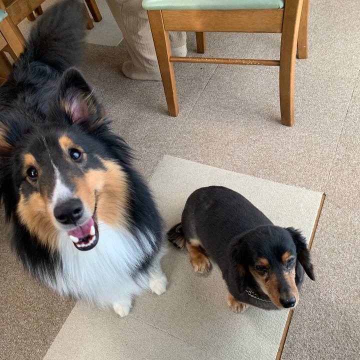 61eb262f afc6 4353 8813 0ea9918ec565 1552601052939