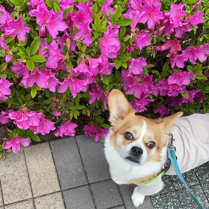 61eb276d 736b 4647 bdaa 768f880fbe01 1650240248691