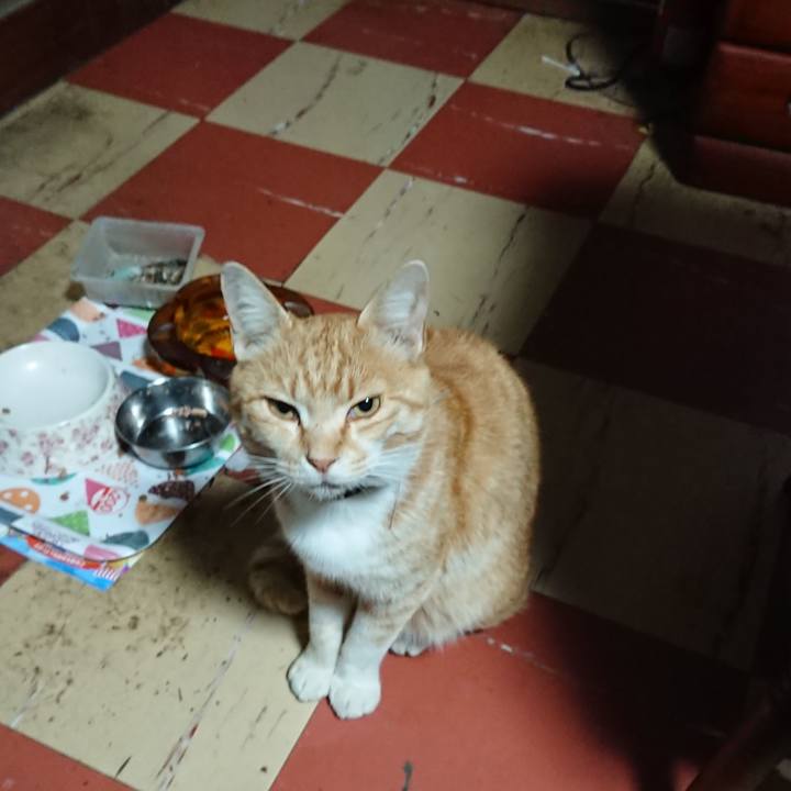 61eb3634 909d 440e 888a d9324ee8e2c0 1589056365154