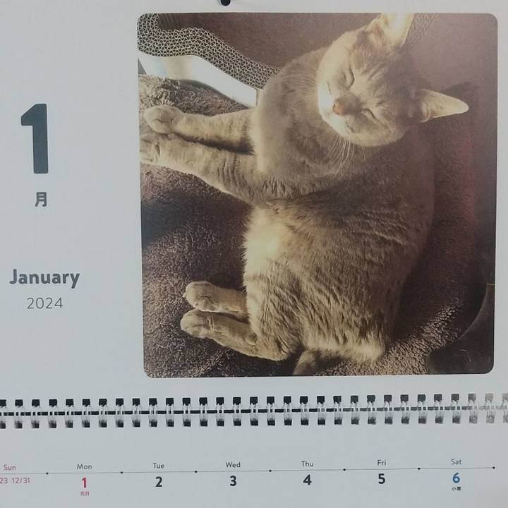 61eb5c89 ab6f 4827 9476 7c0bbf56ab86 1704062927427