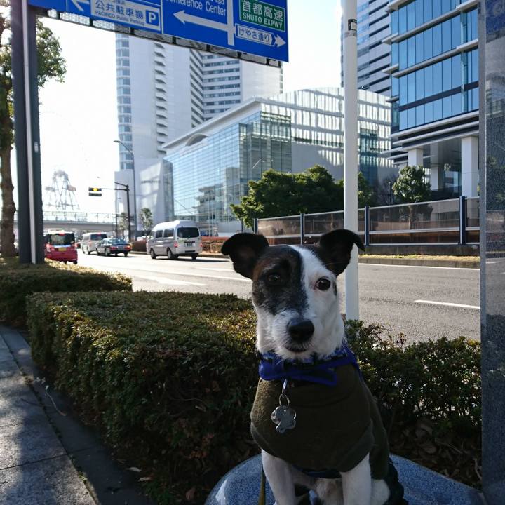 61ebbedb 333e 4fcb 8825 73a44abefc9e 1515199941723