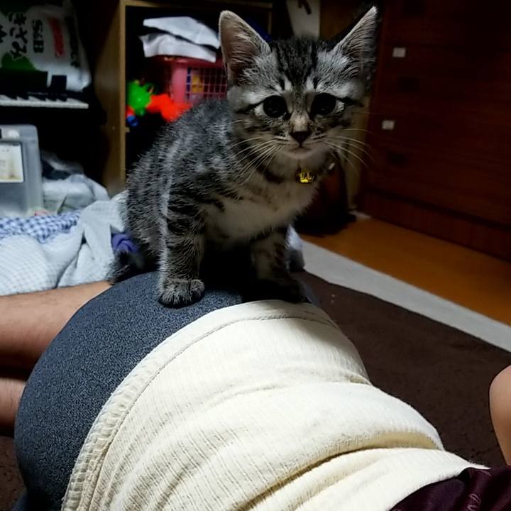 61ebcc8d ff61 4403 b8c4 d27feb355b77 1662825865520